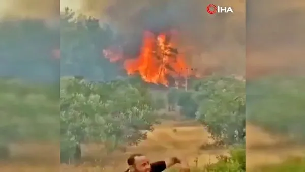 Isparta'da orman yangınında bomba gibi patlayan çam kozlakları kamerada... Saniyeler içinde böyle cehenneme çevirdi!