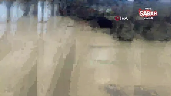 Abd De Havalimaninda Kazayla Ateslenen Silah Panige Neden Oldu Video Videosunu Izle Son Dakika Haberleri