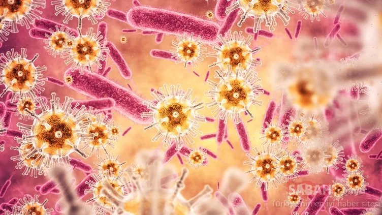 Bilim dünyasından flaş açıklama! Tatlı suda yeni bir virüs grubu keşfedildi! Yeni bir salgına neden olabilir mi?
