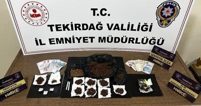 Uyuşturucu denetimlerinde 9 tutuklama #tekirdag