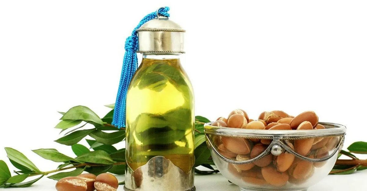 argan yaginin faydalari nelerdir argan yagi neye iyi gelir ne ise yarar saglik haberleri argan yaginin faydalari nelerdir argan yagi neye iyi gelir ne ise yarar saglik haberleri