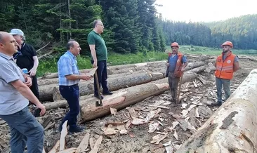 Vali Tutulmaz, ormanlarda inceleme yaptı