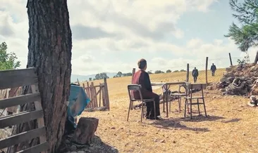 Oscar adayına ödül yağıyor