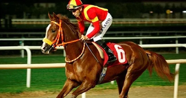 attan dusen jokeyler yaralandi en
