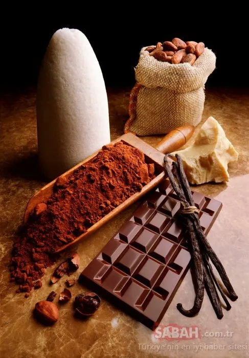 Kakao yağının faydaları bakın neler!