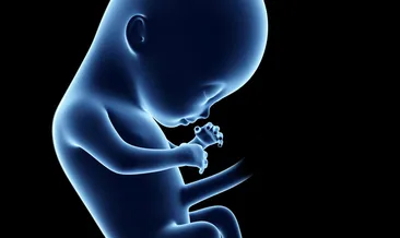 9. Hafta hamilelik belirtileri nelerdir?