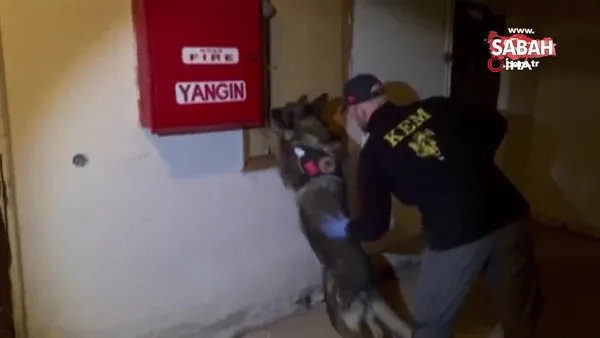 Dedektör köpeği Daxo zehir tacirlerine geçit vermiyor | Video