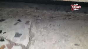 Bakkaldaki hırsızlık şüphelisi kedi çıktı | Video