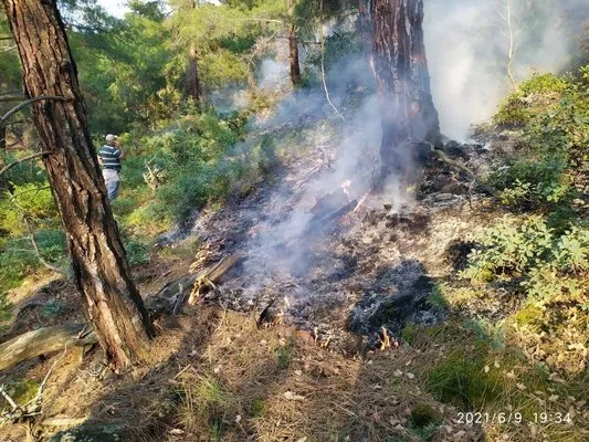 Eskişehir’de ormana düşen yıldırım yangına neden oldu