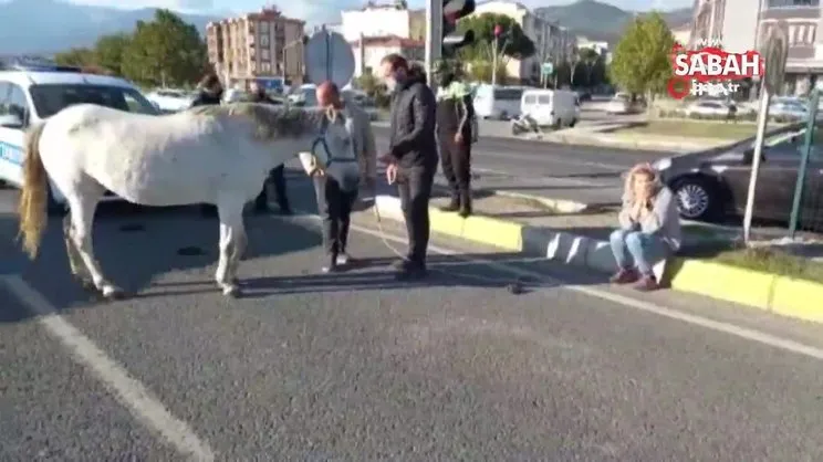 Ata çarpan kadın gözyaşlarına boğuldu | Video