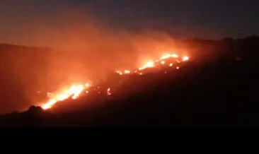 Afyonkarahisar’da orman yangını!