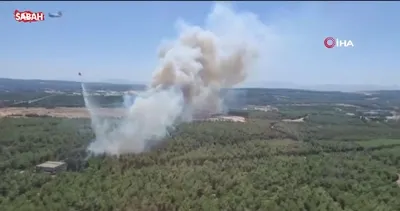 İzmir Buca’da orman yangını çıktı | Video