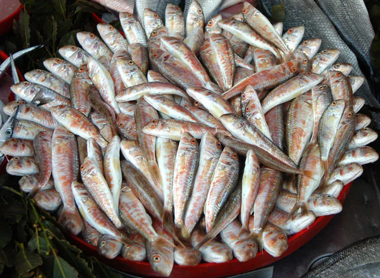 Hangi mevsimde hangi balık yenir? Son Dakika Haberler