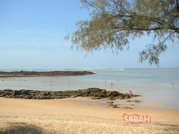 O kehanetleri gerçekleşmişti. İşte Baba Vanga’nın 2019 kehanetleri…