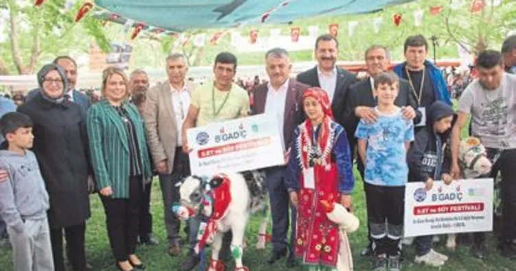 Bigadiç’in en güzel buzağısı seçildi