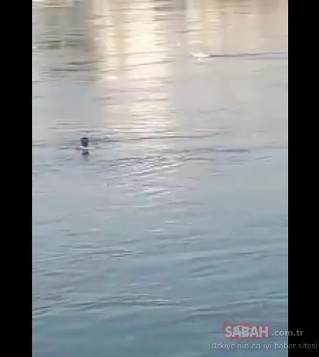 Seyhan Nehri’nde, suya atladığı öne sürülen kız aranıyor