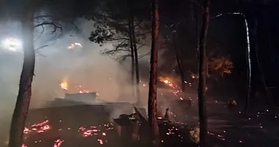 Bilecik’ta bir yangın daha çıktı! Ekiplerin müdahalesi sürüyor: 95 küçükbaş hayvan telef oldu