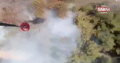 Son Dakika: Muğla’da orman yangını: Ekipler müdahale ediyor! | Video