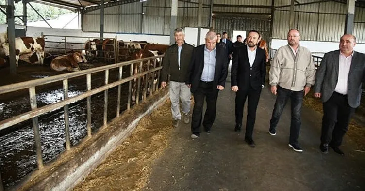 Başkan Doğan süt üretim tesislerinde incelemelerde bulundu