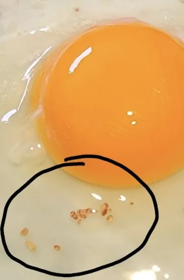 Yumurta beyazındaki leke meğer bunun işaretiymiş! Kimse bilmiyordu ama…