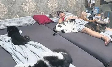 Billur Kalkavan’ın terapist kedileri