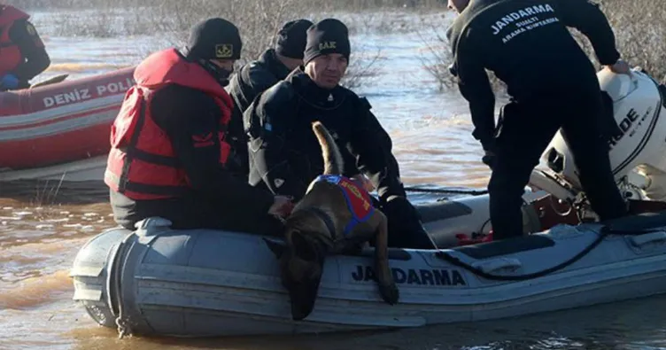 Onlardan sadece 7 tane var