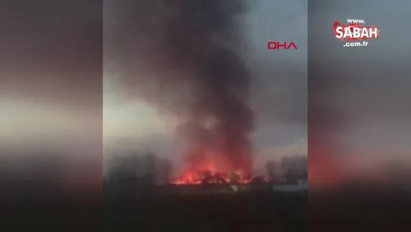 Kocaeli'de bataklıkta çıkan yangın yerleşim yerlerine sıçramadan söndürüldü | Video