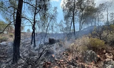 Antalya’da orman yangını büyümeden kontrol altına alındı
