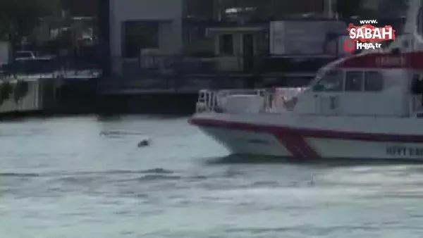 İstanbul Kadıköy’de vapurdan denize atlayan şahsın kurtarılma anı kamerada | Video