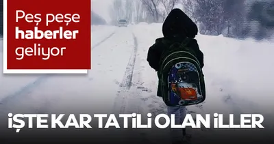 SON DAKİKA HABER: Yarın okullar tatil mi? 19 Ocak için Valiliklerden kar tatili açıklamaları peş peşe geliyor