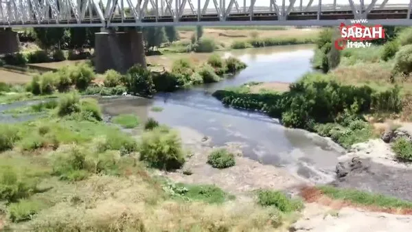 Basra Körfezi’ne kadar giden Dicle Nehri’nde korkutan görüntü | Video