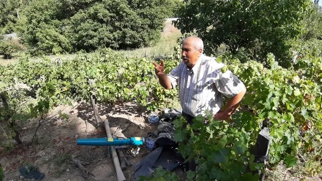 son-dakika-butun-koy-diken-ustunde-korkudan-bahceye-bile-cikamiyorlar-insan-gibi-toplamis-yemis-1757594263917.jpg SON DAKİKA... Bütün köy diken üstünde! Korkudan bahçeye bile çıkamıyorlar: İnsan gibi toplamış, yemiş!