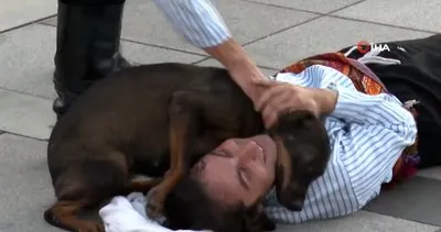 Kocaeli’de 30 Ağustos’ta yürekleri ısıtan görüntü... Sokak köpeği, yaralı sandığı tiyatro oyuncusundan ayrılmak istemedi | Video