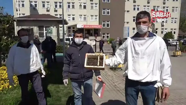 Bursa'da binlerce arının şok eden ölümü | Video