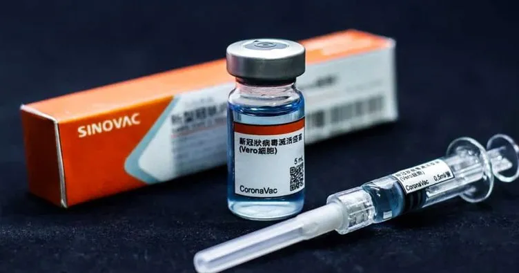 SON DAKİKA HABERİ: Avusturya seyehat kurallarını güncelledi! Sinovac aşısı yaptıranlar için flaş karar