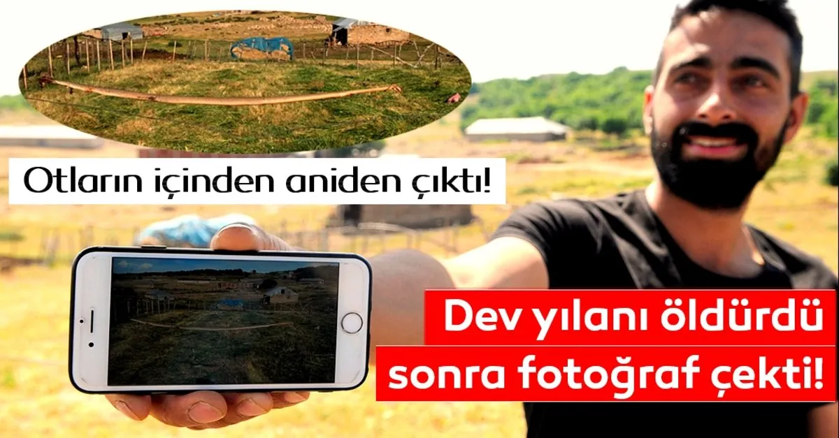 son dakika haberi dev yilani oldurdu