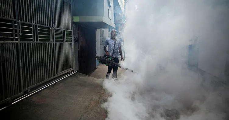 O ülkede dang humması alarmı