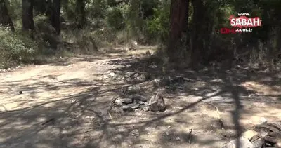 ’Kamera’ uyarısına aldırmayanlar, yasağa rağmen ormanda ateş yaktı | Video