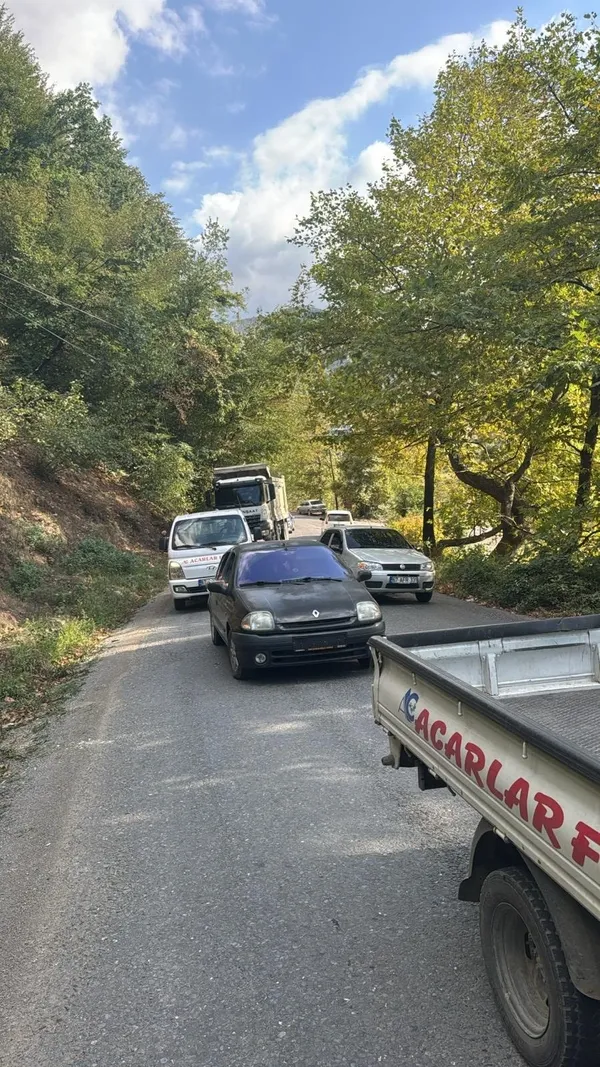 alapli-asagidag-koyu-yol-uzerinde-agac-yola-devrildi-1757851369032.jpg