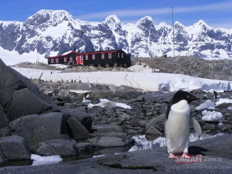 Antarktika’ya Türk damgası! Kalıcı üs için hedef 2023