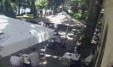 Çınardan kopan dal can aldı: Dehşet anları kamerada! #kocaeli