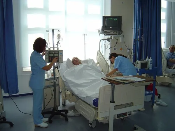 İşsizliğin en az olduğu meslekler