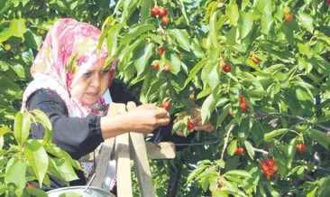 Üreticiye nakit avans imkânı
