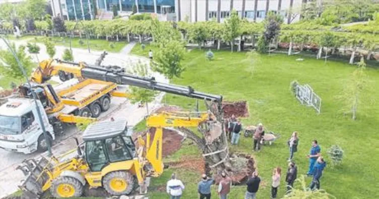 Botanik Park gün sayıyor