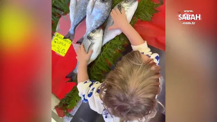 Kıvanç Tatlıtuğ ve Başak Dizer’in oğlu Kurt Efe’nin sevimli halleri! Kurt Efe’nin balıkla imtihanını annesi görüntüledi!