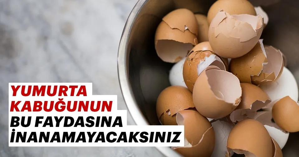 Yumurta Kabugunun Faydalari Nelerdir Iste Yumurta Kabugunun