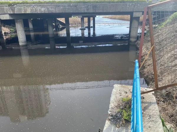 İstanbul’da Ayamama Deresi’ne kirli su akmaya devam ediyor! Pislik, koku ve sinekler hüküm sürüyor