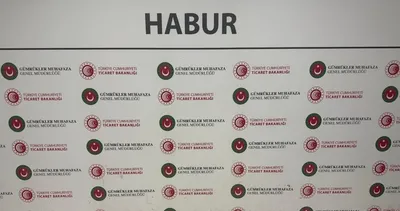 Habur’da TIR’da kaçak altın operasyonu: Yaklaşık 14,5 Milyon TL değerinde altın ele geçirildi #sirnak