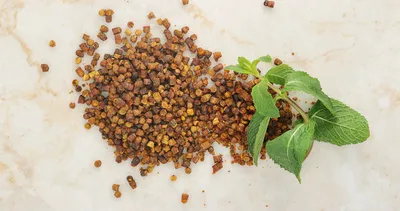 Bu besinin etkisi inanılmaz! Bağışıklığı güçlendiriyor kanserden koruyor