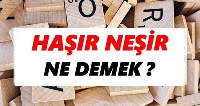 Haşır neşir Ne Demek? TDK’ya Göre Haşır neşir Sözlük Anlamı Nedir?